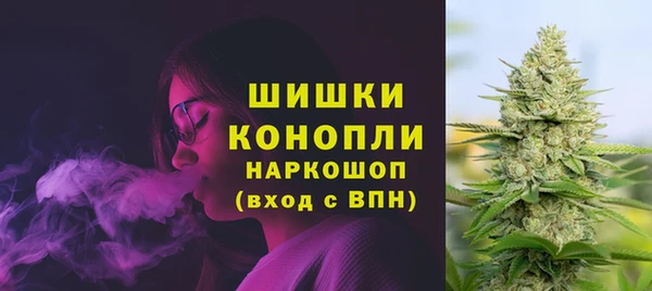амф Балахна