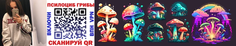 Галлюциногенные грибы Psilocybe  блэк спрут tor  Куса 